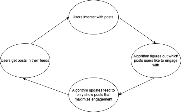 Social media algorithms create a feedback loop of engagement